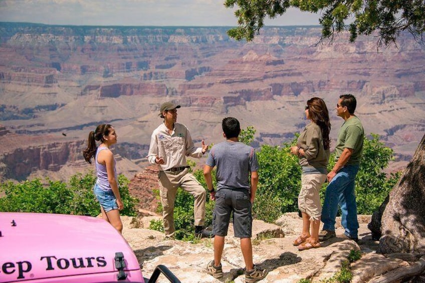 Desert View Grand Canyon Tour - Pink Jeep