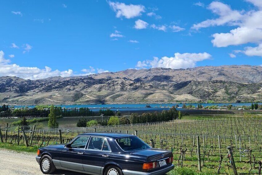 View from Vineyard@central Otago