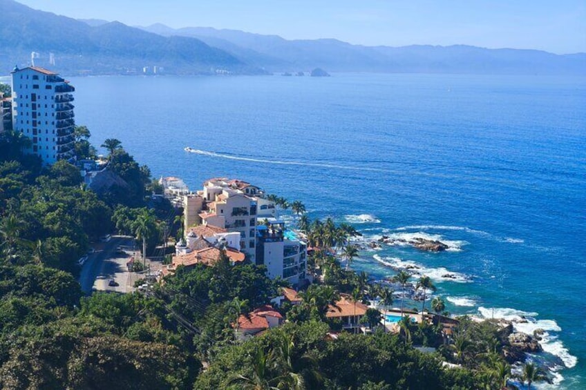 Private Tour of Puerto Vallarta and the Subtropical Forest