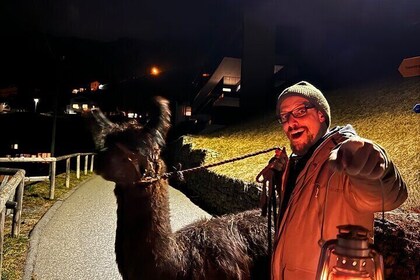 Llama hike with homemade, traditional cheese fondue