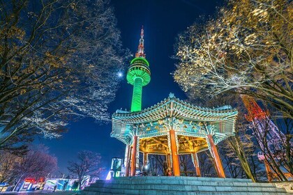 Night Flexible Private Guided Tour in Seoul(Optional Stopover)