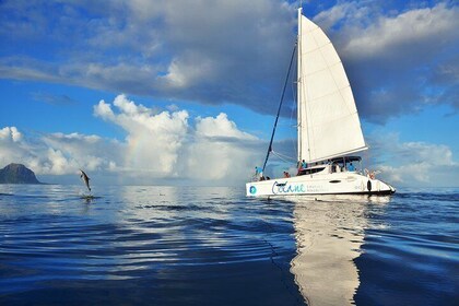 WEST : OCÉANE Private full day cruise to Ile aux Benitiers