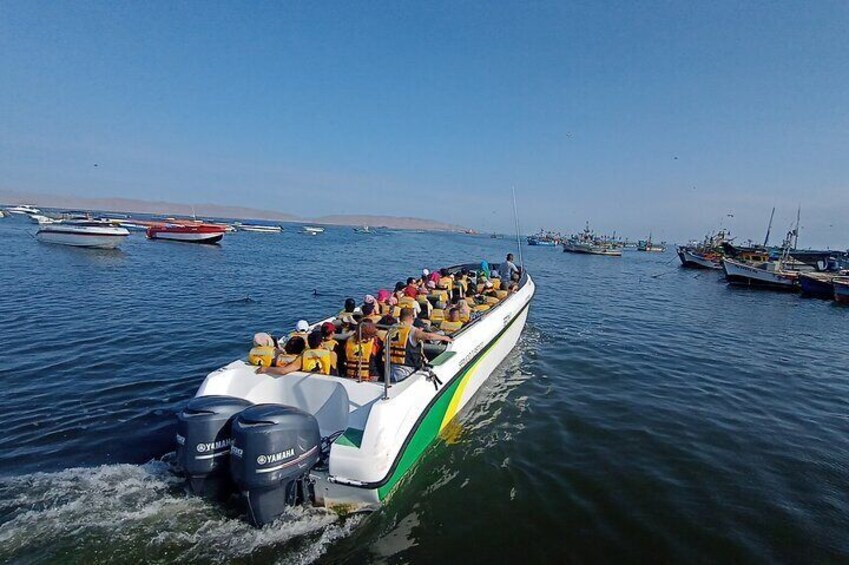 Slider ride for the sighting of marine fauna