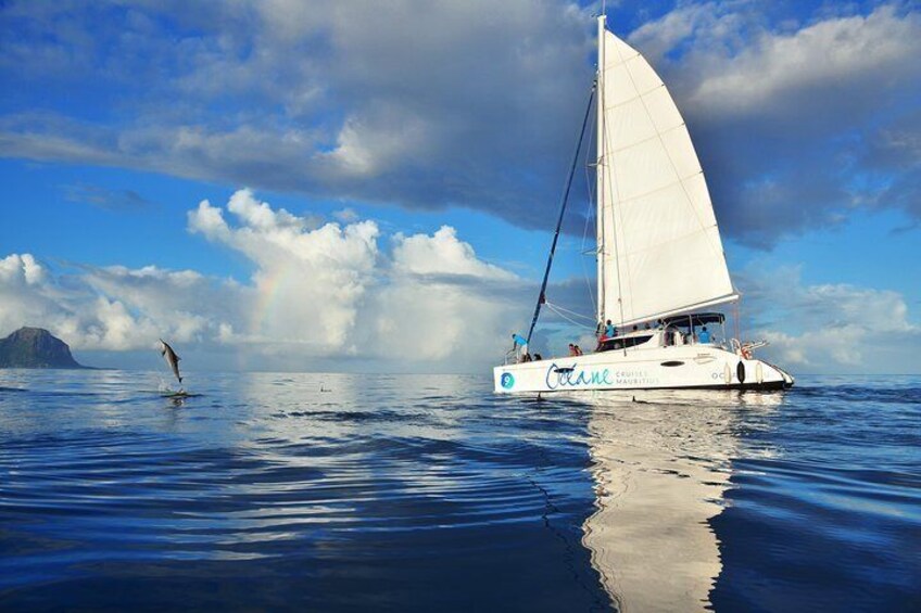 Shared WEST Cruise - Ile aux Benitiers: Full day catamaran cruise
