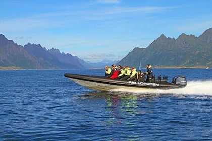 RIB Sea Eagle Safari Trollfjord Cruise