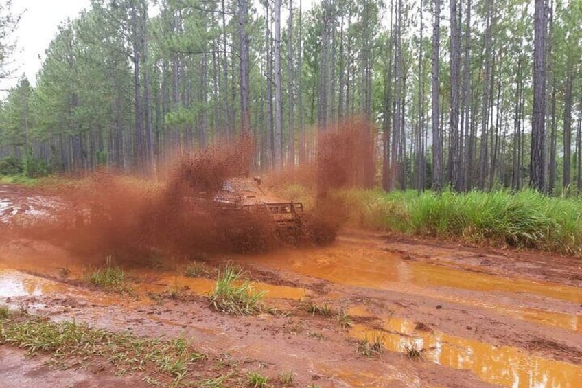 A Private Day in the Deep South in 4x4 Adventure mode