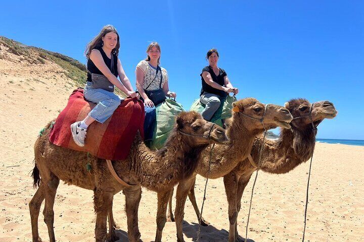 Full Day Private Tangier Tour From Malaga