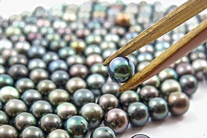 Selection of black pearls
