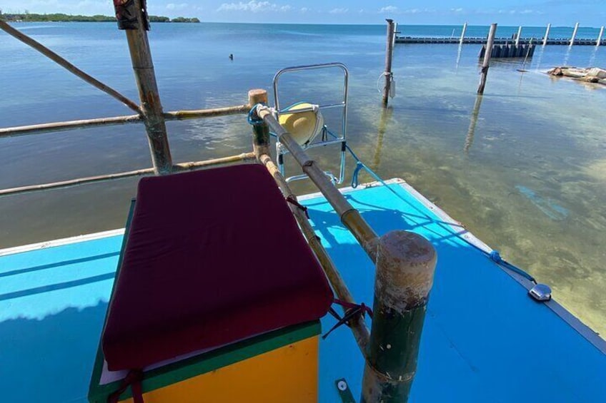 Shark & Ray Afternoon Swim Tiki Bar Cruise
