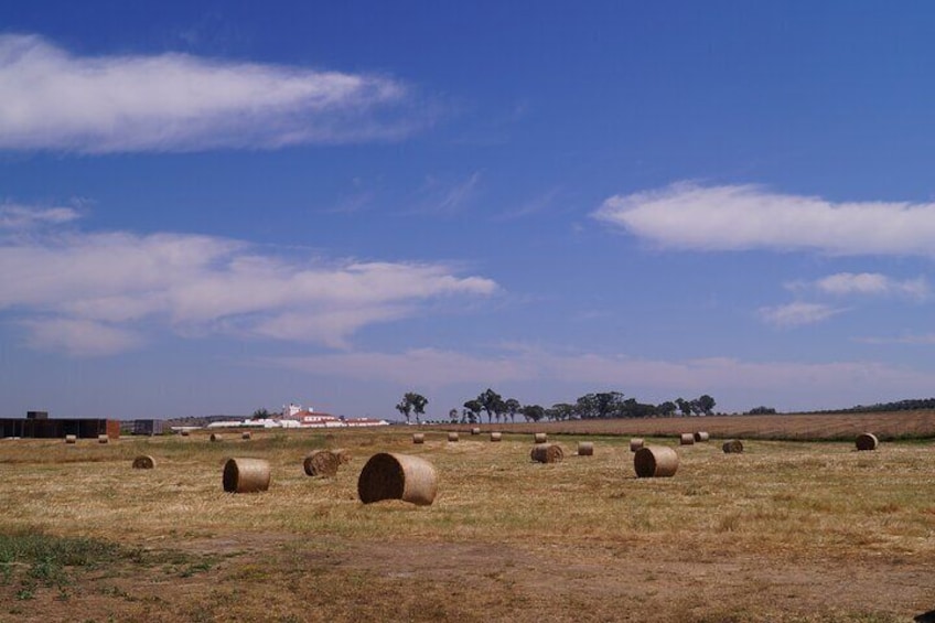 Roman Villa of Torre de Palma