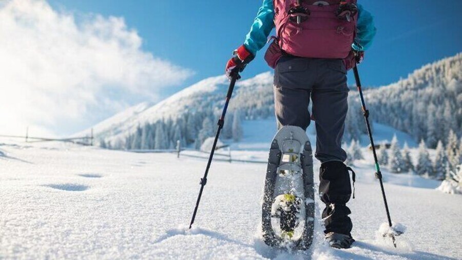 3 Hours of Snowshoeing with Alpine Guide in Val Brembana