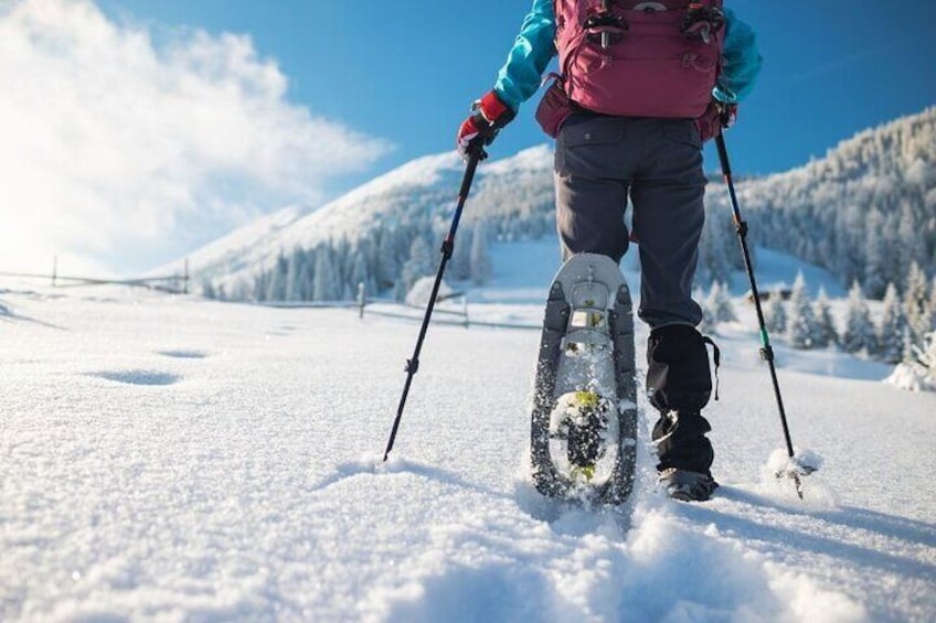 3 Hours of Snowshoeing with Alpine Guide in Val Brembana