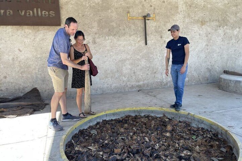 Private Walking Tour in Guachimontones with Tequila Tasting