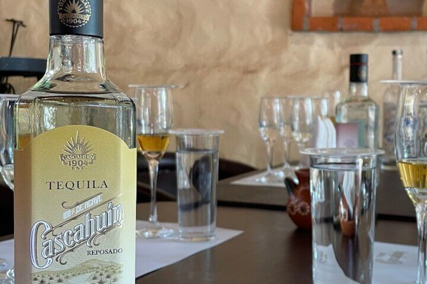 Guachimontones and Tequila Distillery in One Day