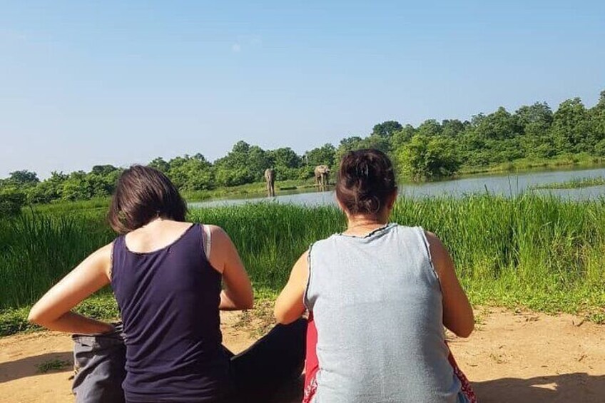 3 Days Private Tour in Mole National Park at Zaina Lodge