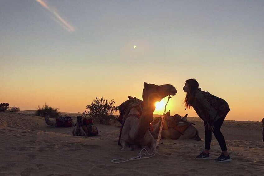 Dazzling Half Day Camel Safari Tour With Sunset