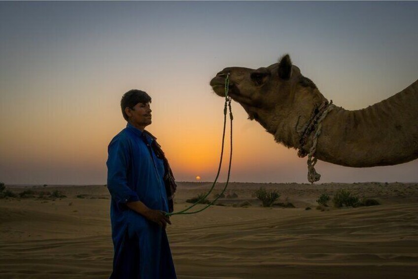 Dazzling Half Day Camel Safari Tour With Sunset