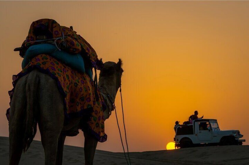 Dazzling Half Day Camel Safari Tour With Sunset