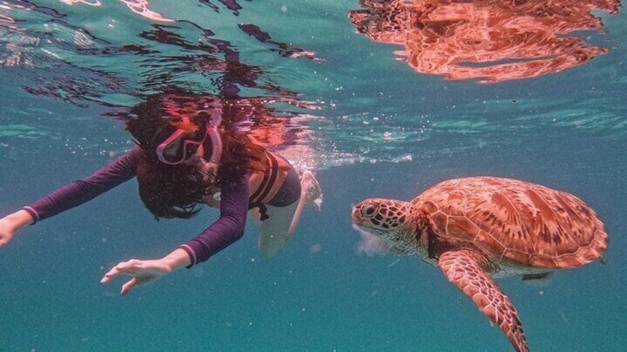 Pulau Redang Snorkeling and Island Hopping Full Day Tour