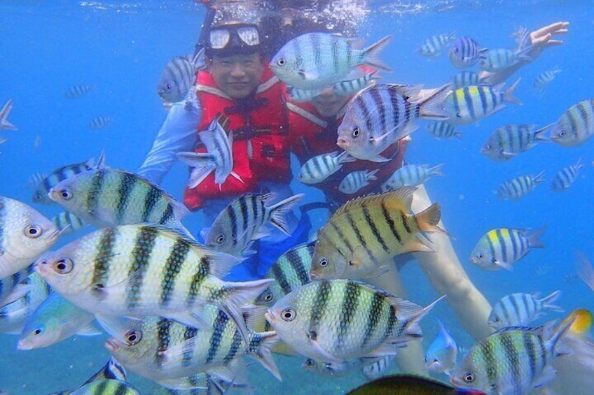 Full-Day Pulau Redang Snorkeling and Island Hopping Guided Tour