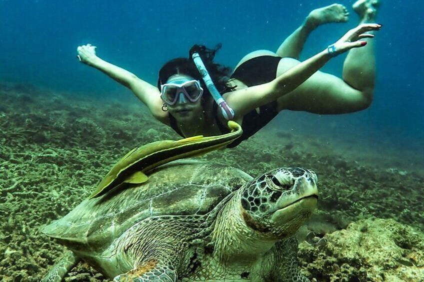 Full-Day Pulau Redang Snorkeling and Island Hopping Guided Tour