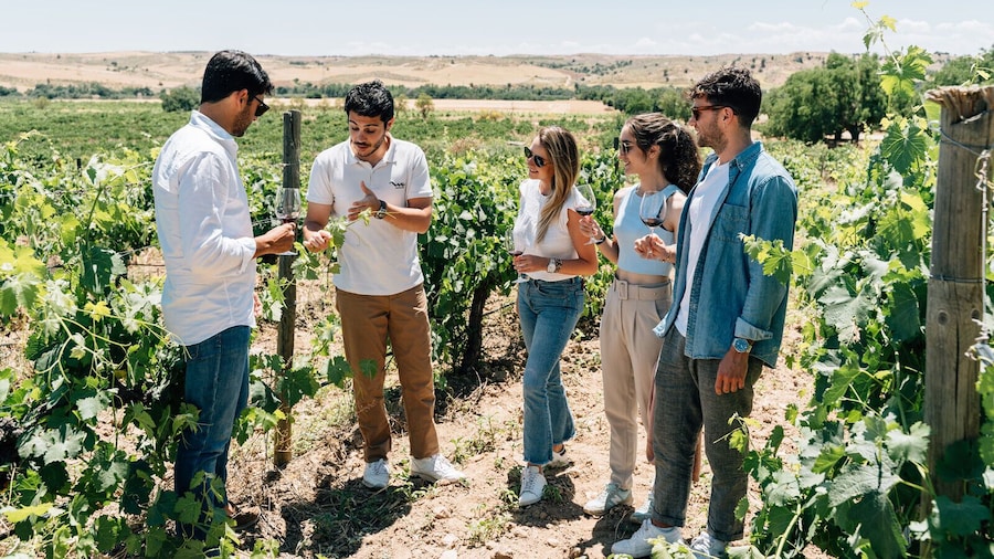 Spanish Traditional Villages & Wineries from Madrid