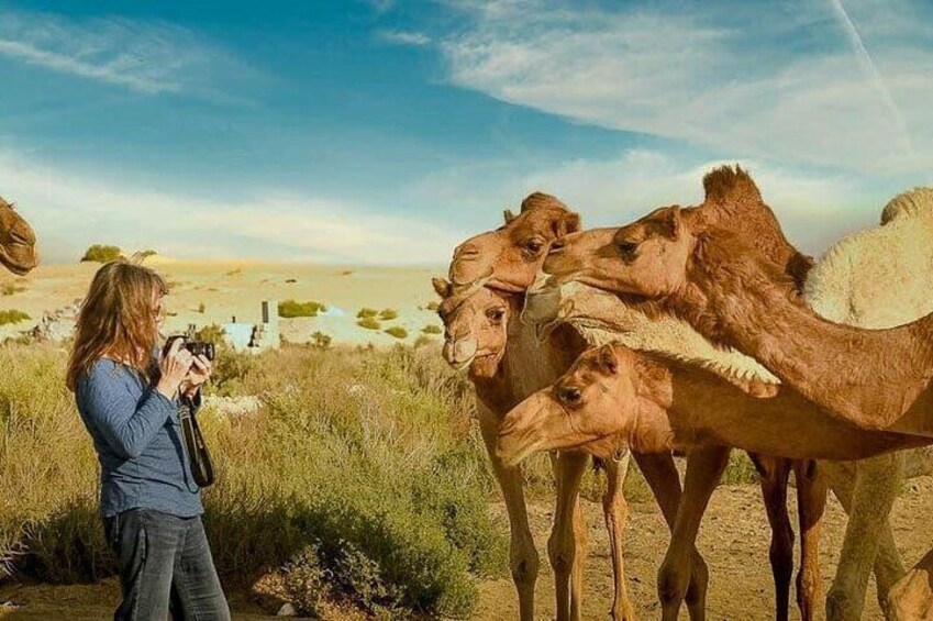 Explore Jeddah, Taif and Riyadh (4 Days)