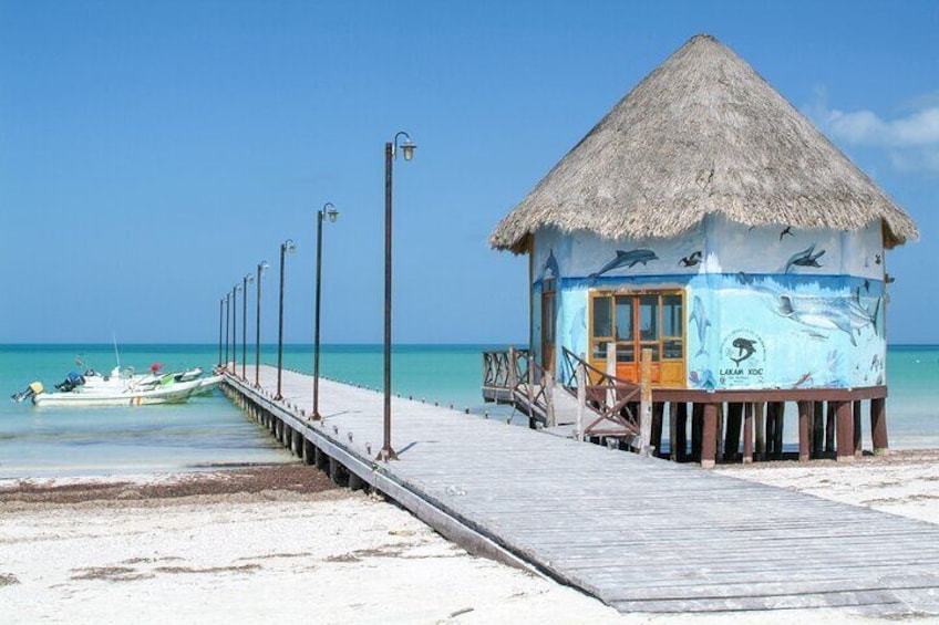 Exclusive Full Day Nature Expedition to Holbox Island