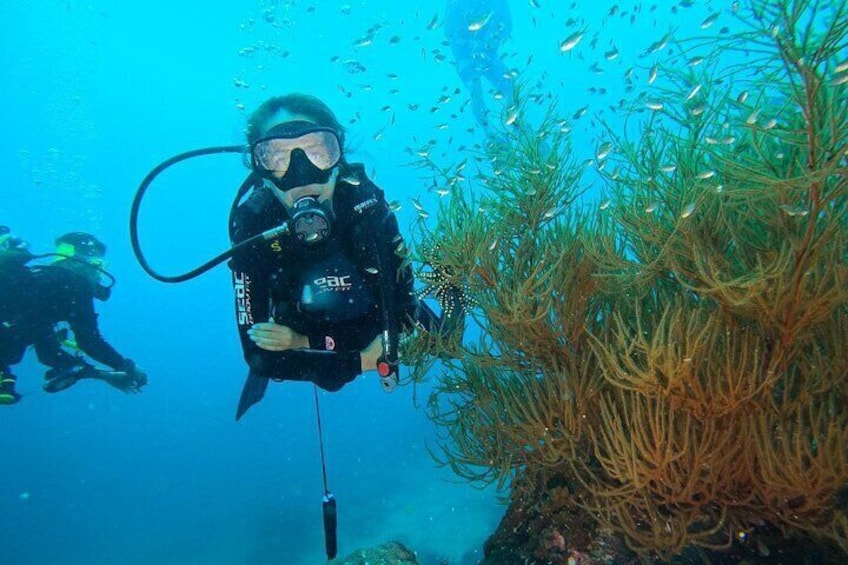 Private Scuba Diving for Beginners in Redang Island 