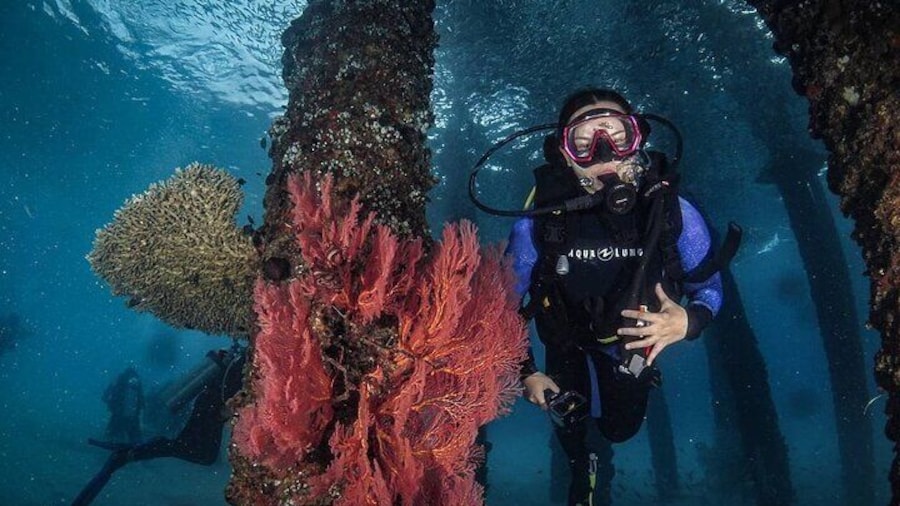 Private Scuba Diving for Beginners in Redang Island