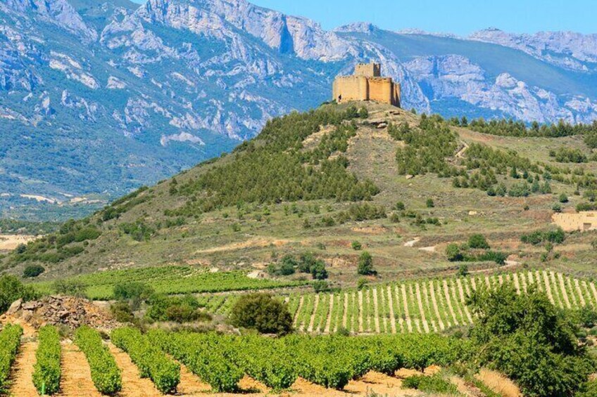 La Rioja Private Tour + Logroño Tapas Tour & Wine Tasting