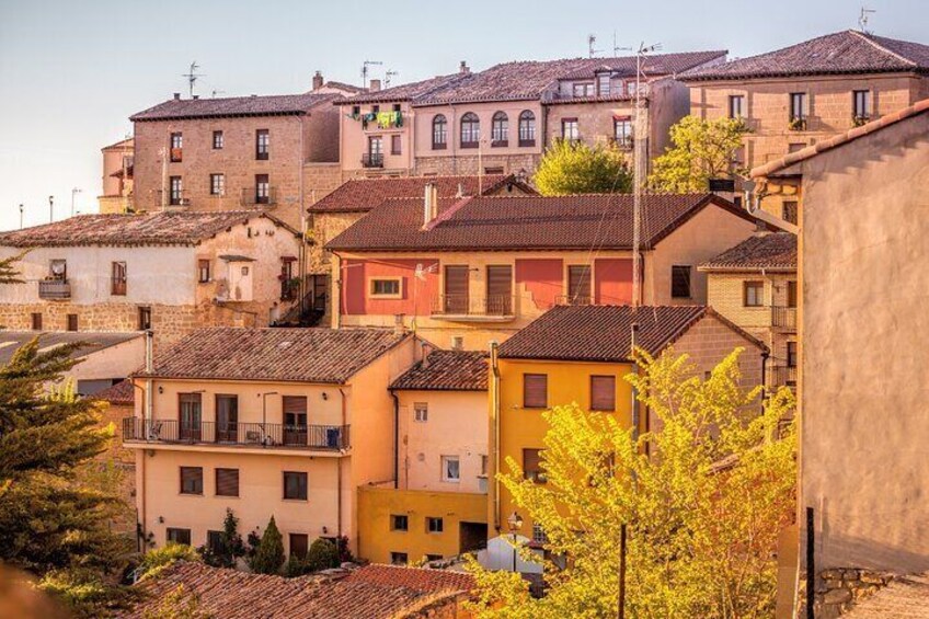 La Rioja Private Tour + Logroño Tapas Tour & Wine Tasting