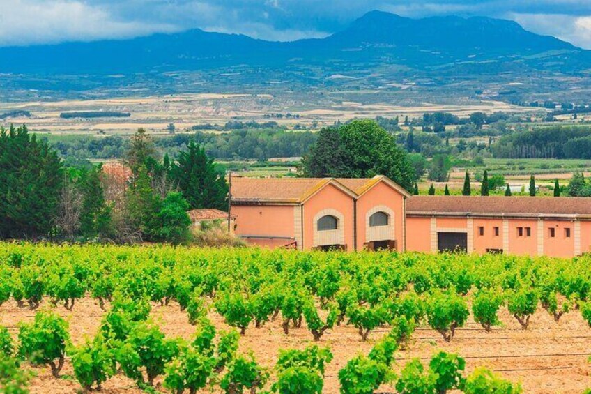 La Rioja Private Tour + Logroño Tapas Tour & Wine Tasting
