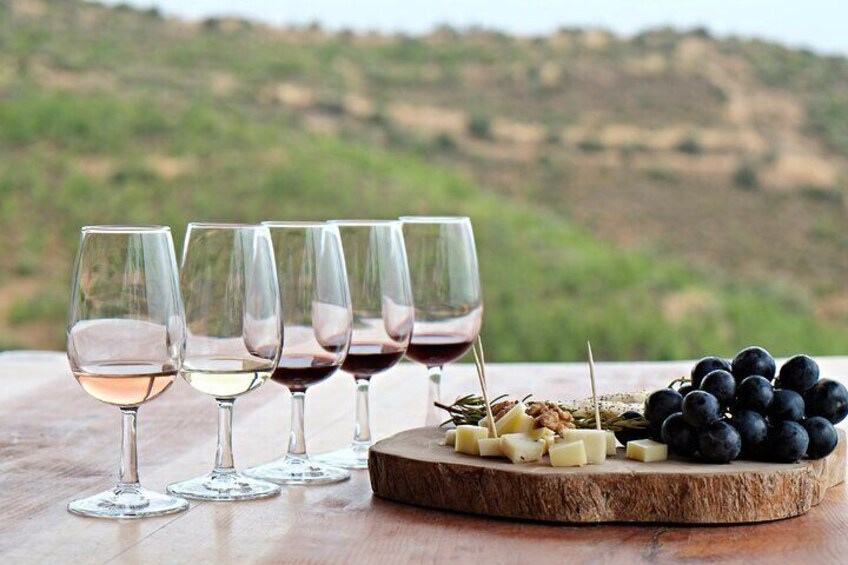 La Rioja Private Tour + Logroño Tapas Tour & Wine Tasting 