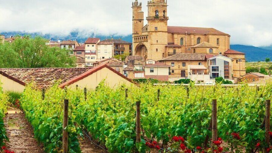 La Rioja Private Tour + Logroño Tapas Tour & Wine Tasting