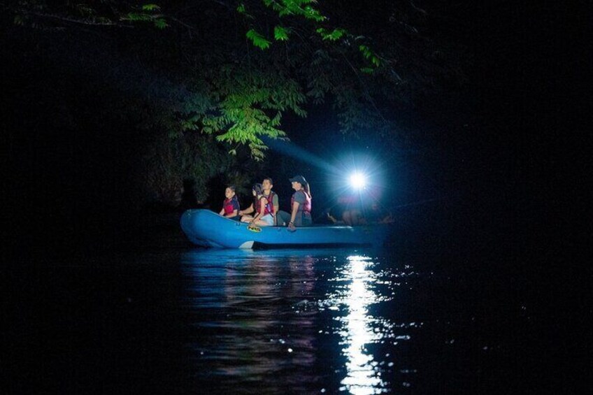 Small Group Twilight Wildlife Boat Tour in La Fortuna