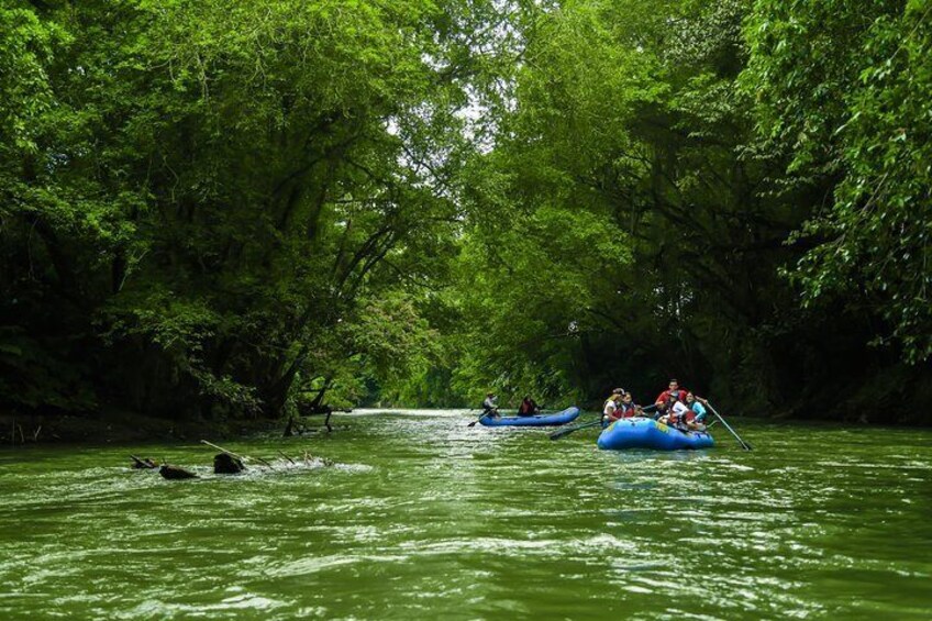 Small Group Twilight Wildlife Boat Tour in La Fortuna