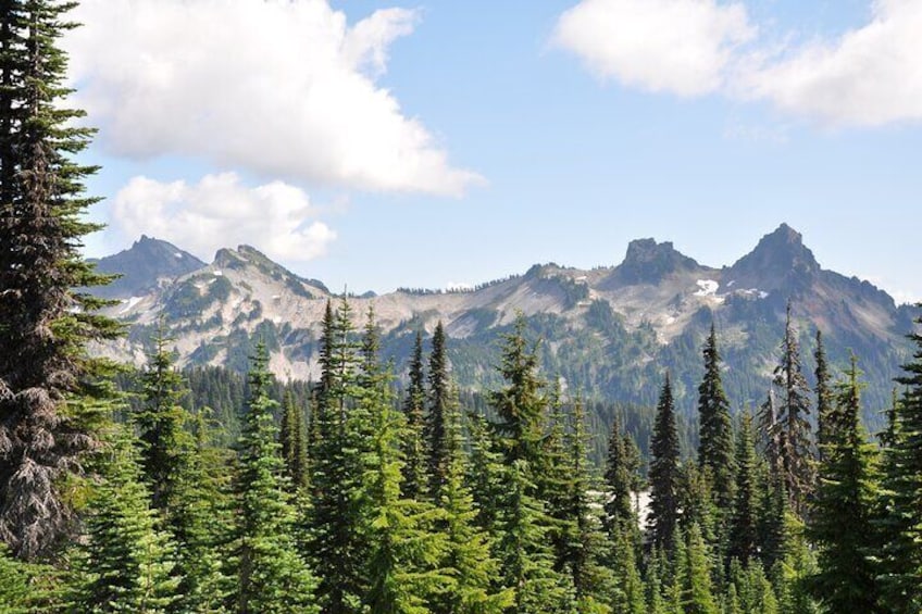 Mount Rainier Tour from Seattle