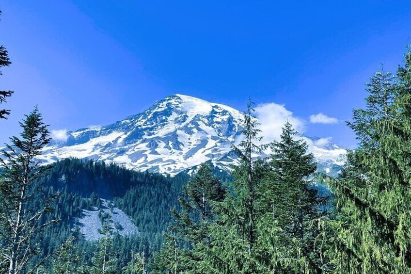 Mount Rainier Tour from Seattle 
