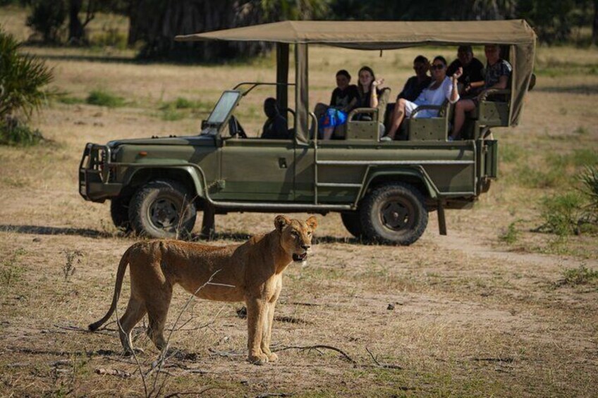 Selous Luxury Day Safari with Photographer