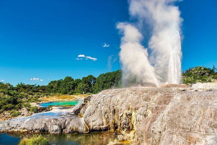 Rotorua Cultural Small Group Afternoon Tour