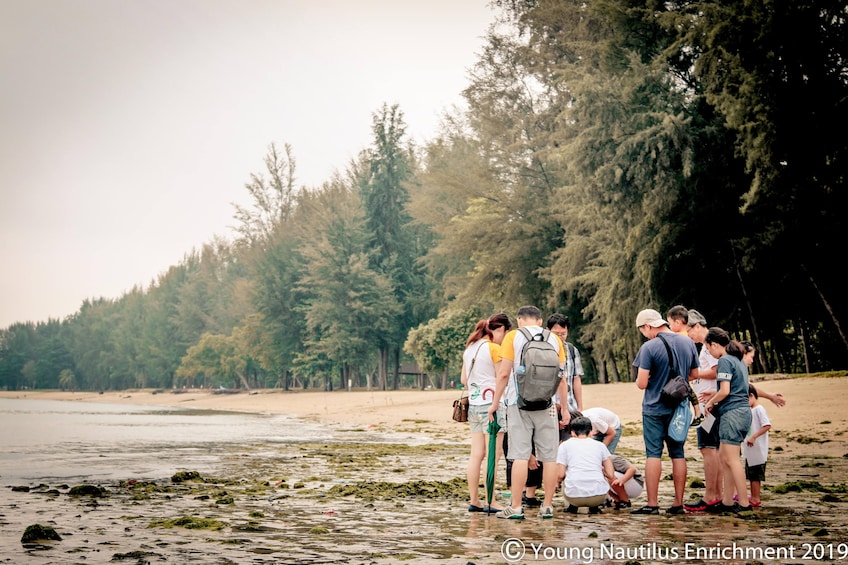 Young Nautilus Nature Walks: Unravelling Wildlife Mysteries