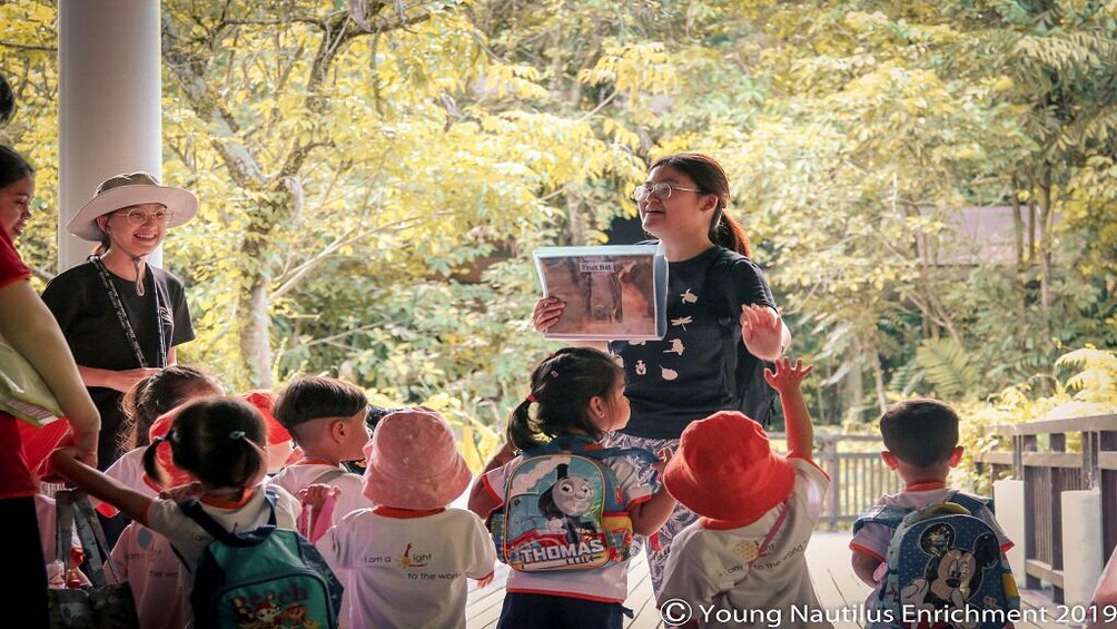 Young Nautilus Nature Walks: Unravelling Wildlife Mysteries