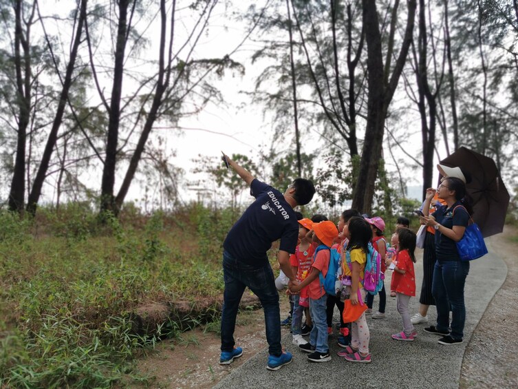 Young Nautilus Nature Walks: Unravelling Wildlife Mysteries