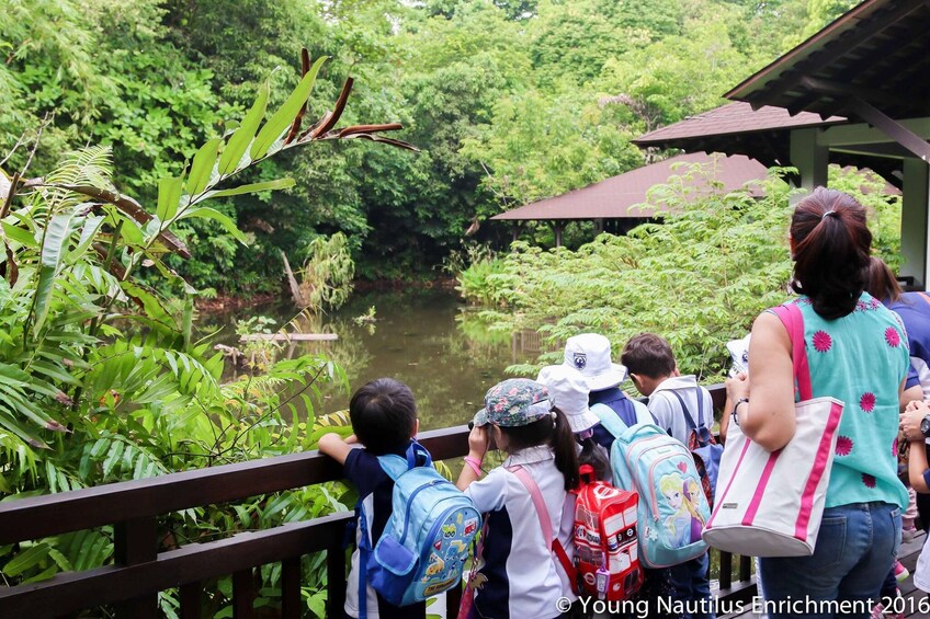 Young Nautilus Nature Walks: Unravelling Wildlife Mysteries