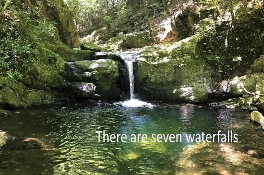 Mt. Inunaki Trekking and Hot Springs in Izumisano, Osaka 