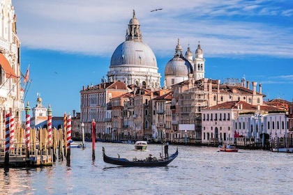 Full Day Private Shore Tour in Venice from Chioggia Port