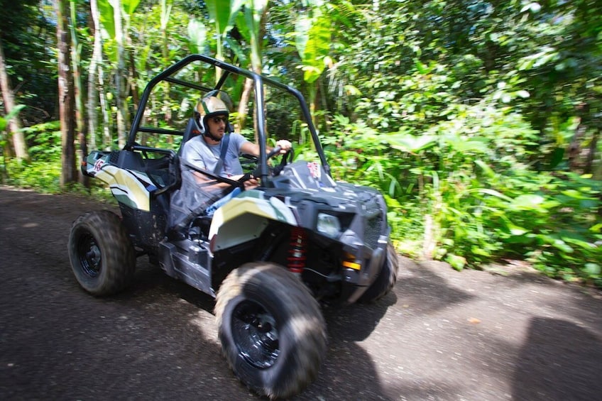 Jungle Buggies