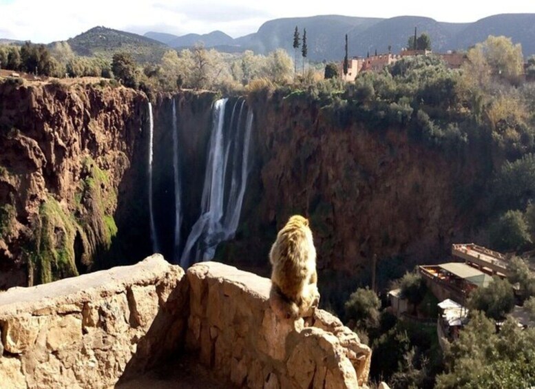 Picture 7 for Activity Full Day Trip To Ouzoud Waterfalls (Guide Hik & Boat option)