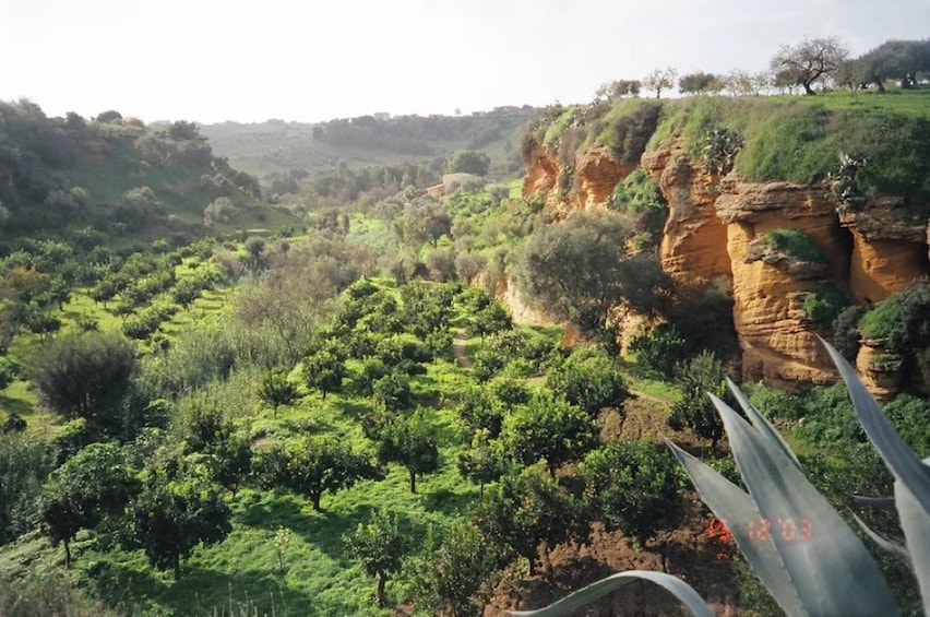 Private tour of the Valley of the Temples and Kolymbethra in Sicily